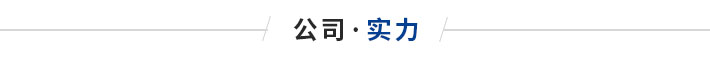 浸入式法蘭電加熱器